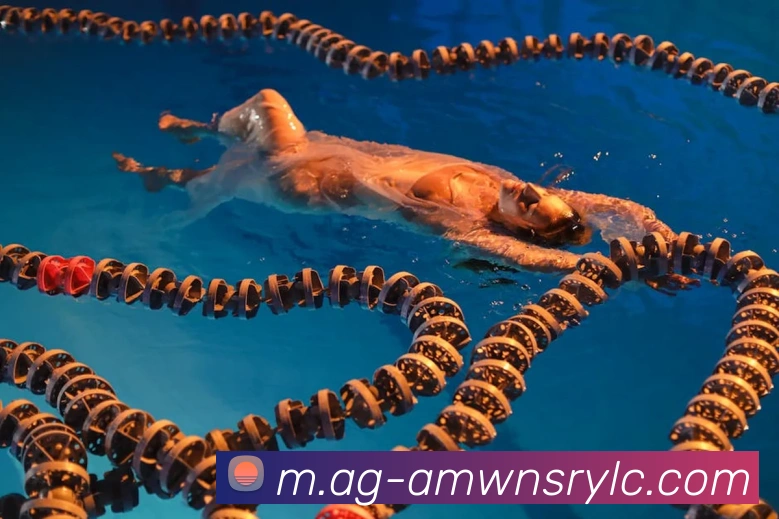 威尼斯人线上娱乐平台生态图